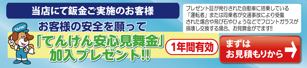 てんけん安心見舞金